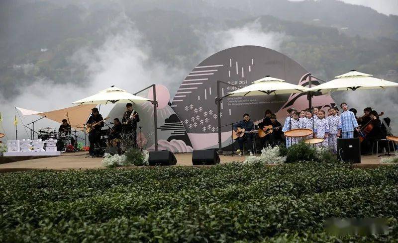 紫阳县向阳镇富硒茶