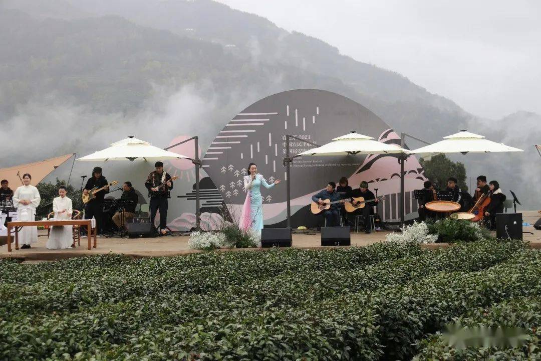 紫阳县向阳镇富硒茶