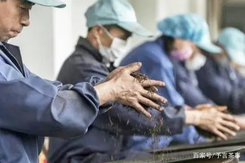 六安瓜片是富硒茶吗