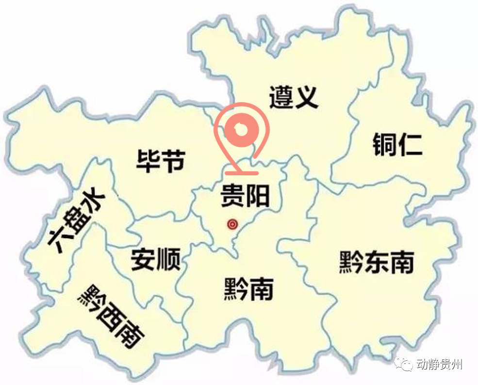 六枝特区郎岱富硒茶