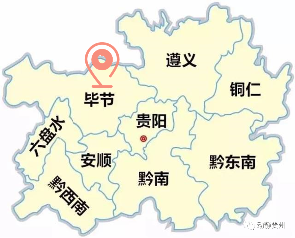 六枝特区郎岱富硒茶