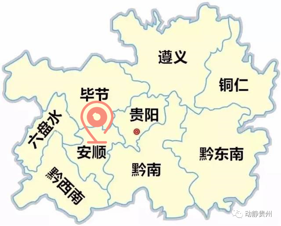 六枝特区郎岱富硒茶