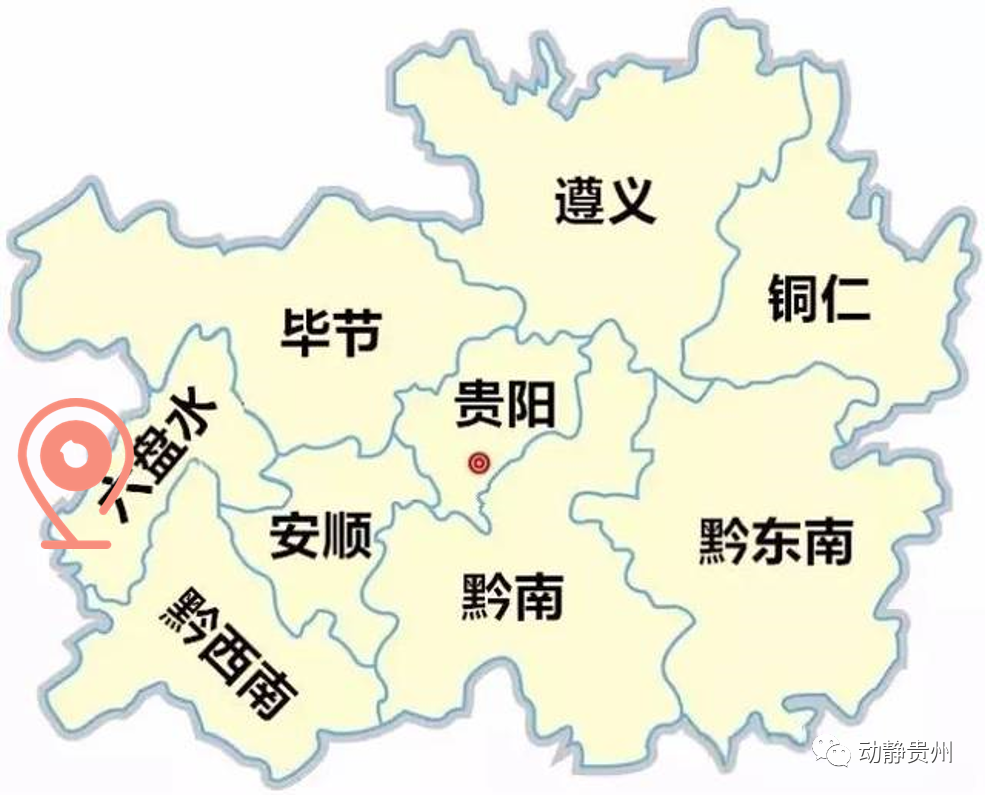 六枝特区郎岱富硒茶