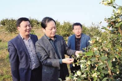 桃源富硒大米硒含量