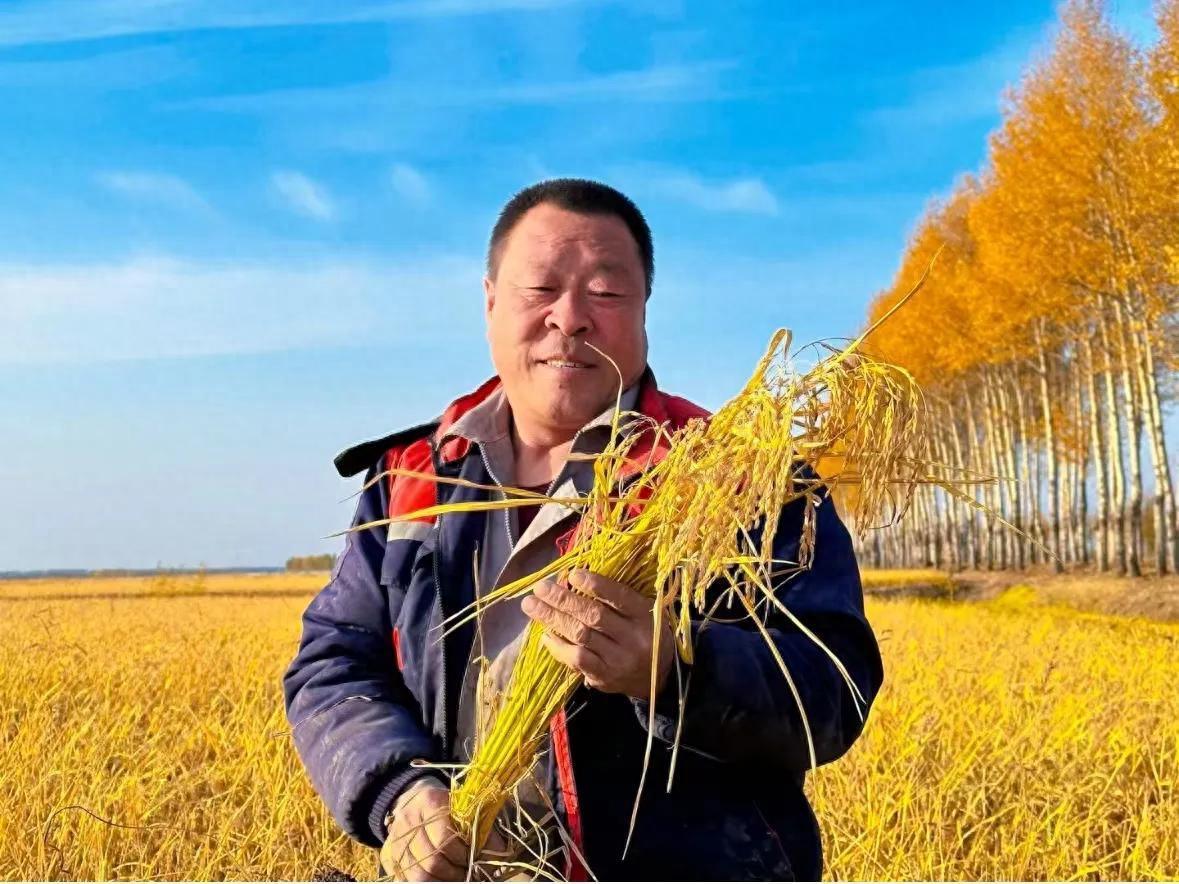 富硒大米 东北大米