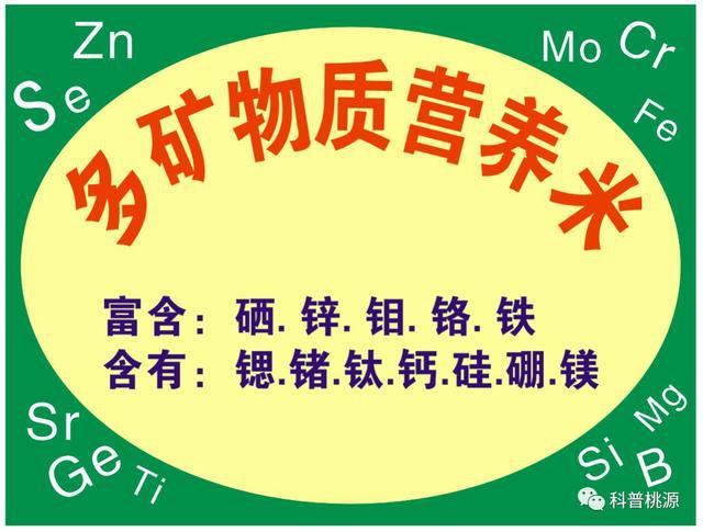 富硒锌硒钙大米种子