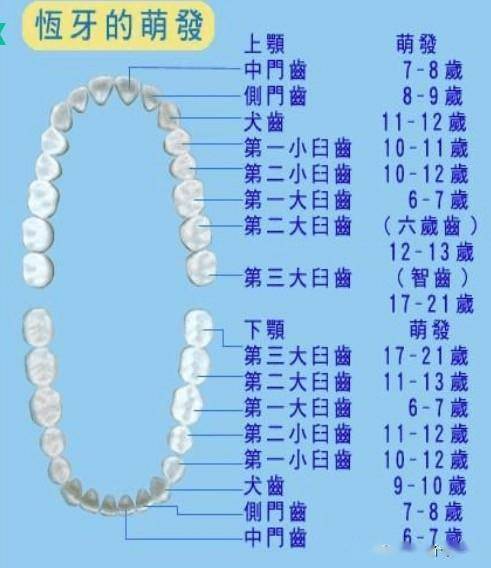 换牙期间需要补钙吗
