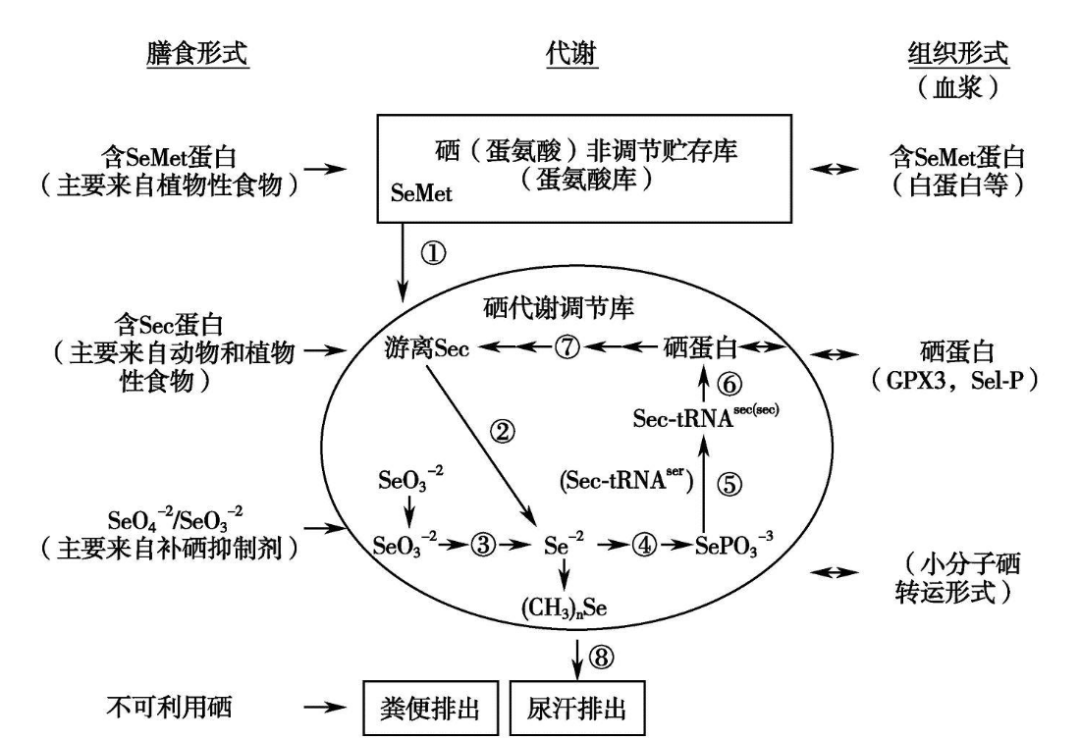 富硒大米噱头是什么