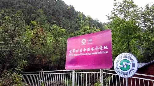 大山第一村富硒大米