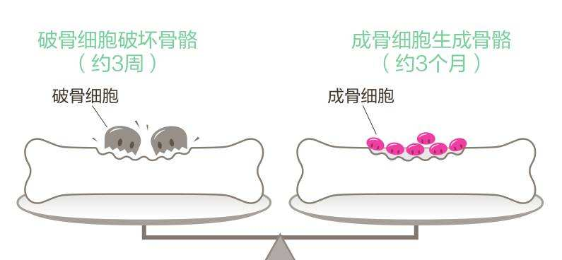 补钙的针