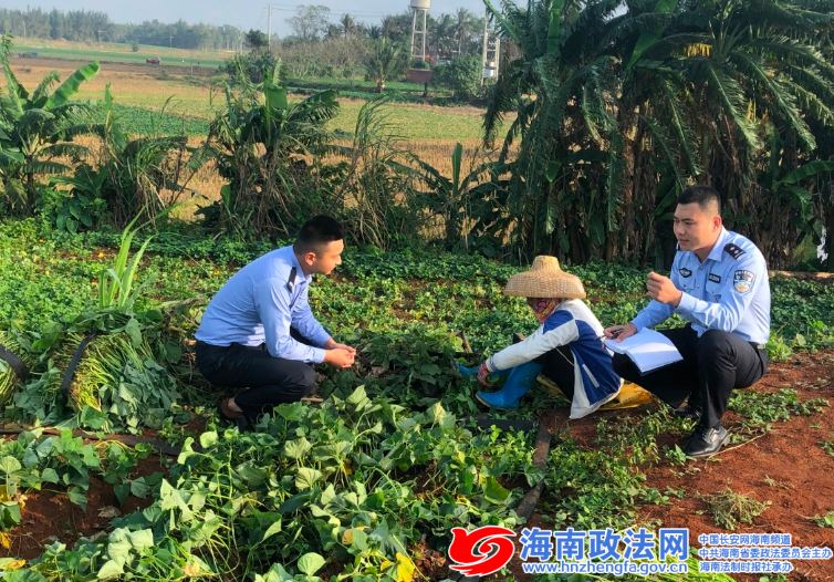 桥头富硒地瓜是哪里