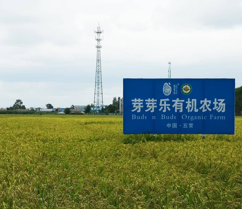 五常富硒大米十斤装