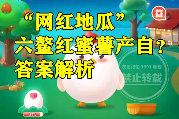 减肥吃海南富硒地瓜