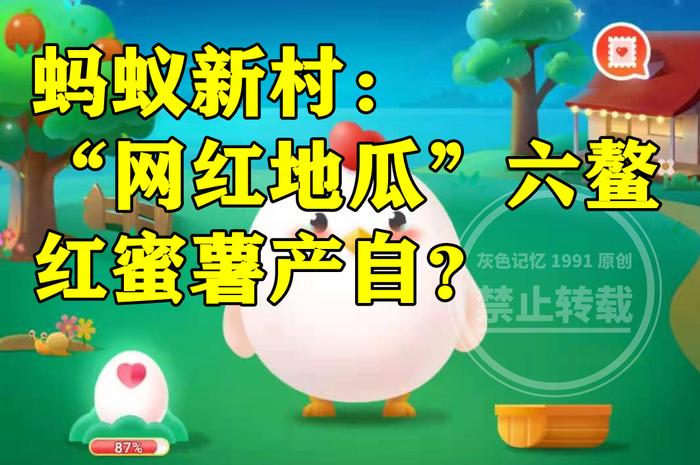 减肥吃海南富硒地瓜