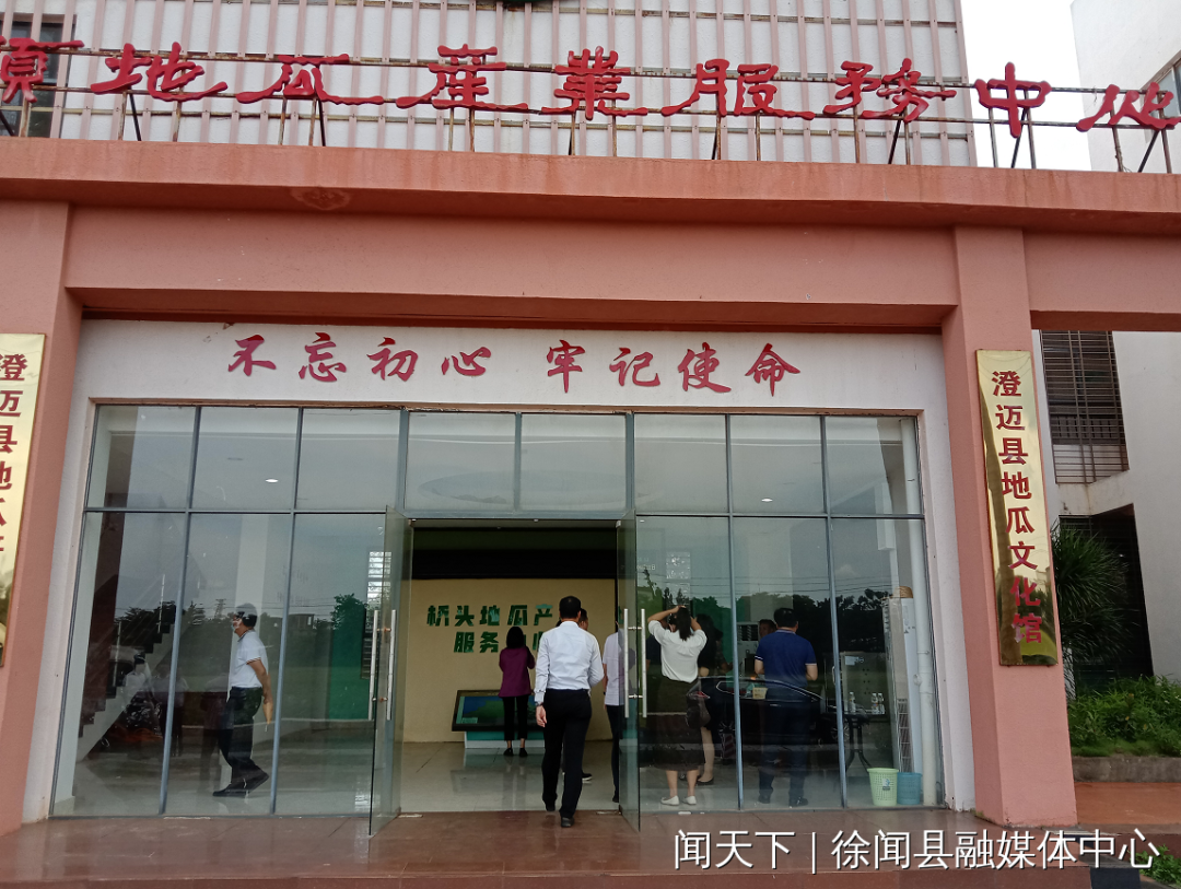 桥头富硒地瓜是哪里