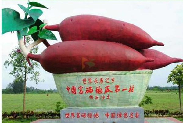 富硒地瓜可以拔丝吗