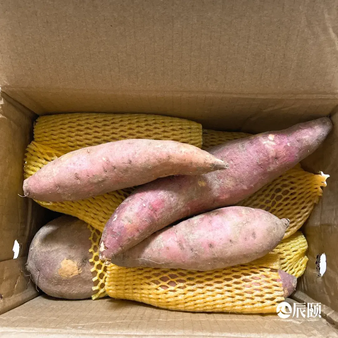 富硒地瓜可以拔丝吗