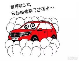 郓城富硒地瓜采摘园