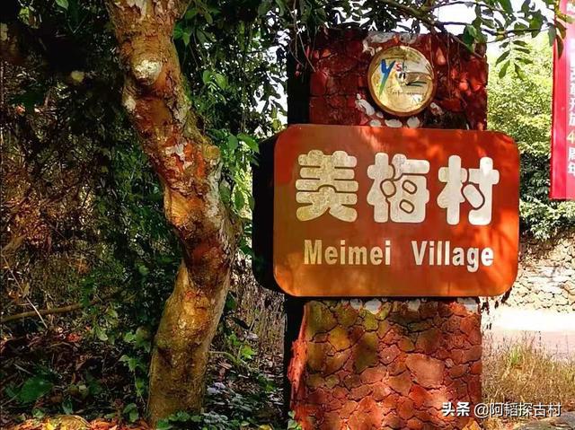 富硒地瓜怎么那么甜