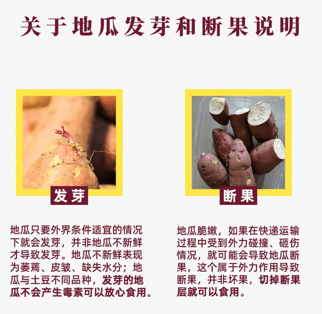 富硒地瓜哪里的好吃