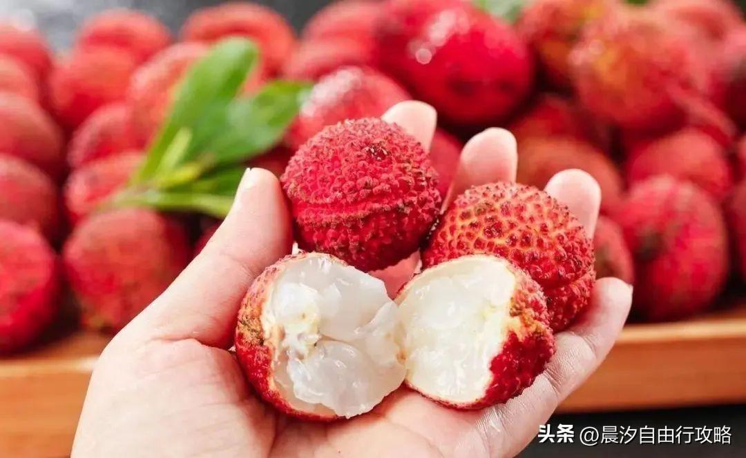 桥头富硒地瓜种植户