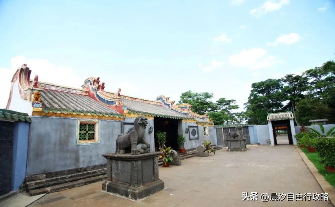 桥头富硒地瓜种植户