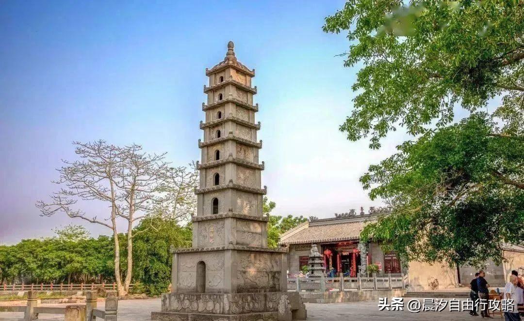 桥头富硒地瓜种植户