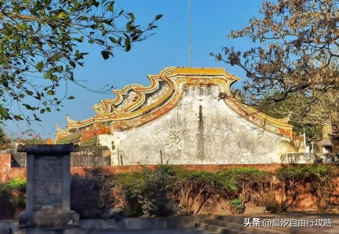 桥头富硒地瓜种植户