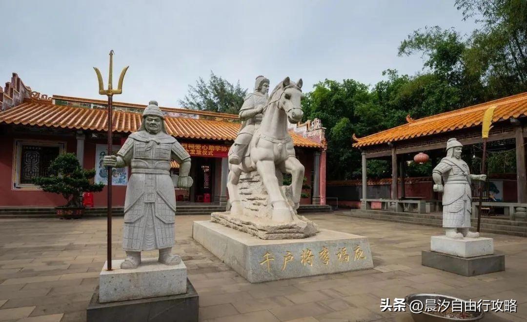 桥头富硒地瓜种植户