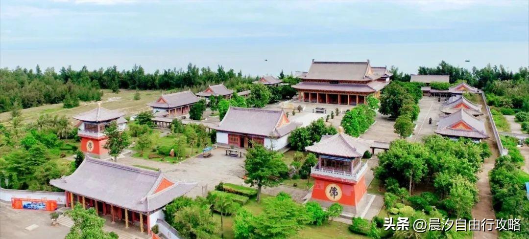 桥头富硒地瓜种植户