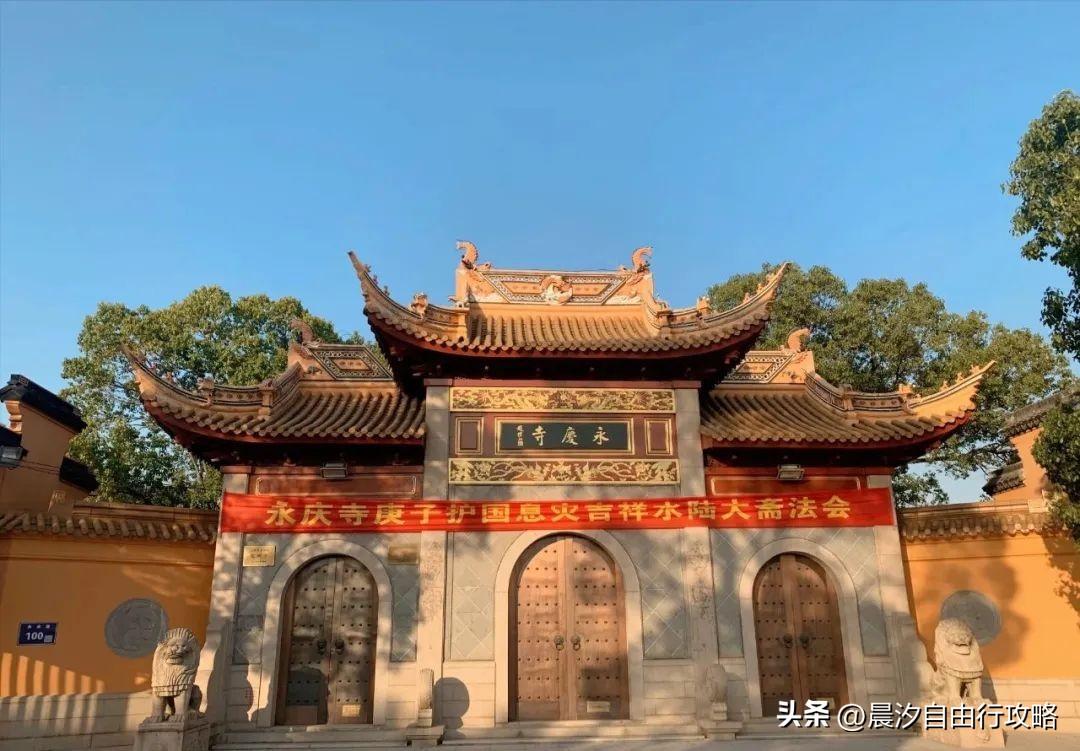 桥头富硒地瓜种植户