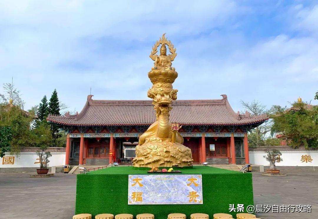 桥头富硒地瓜种植户