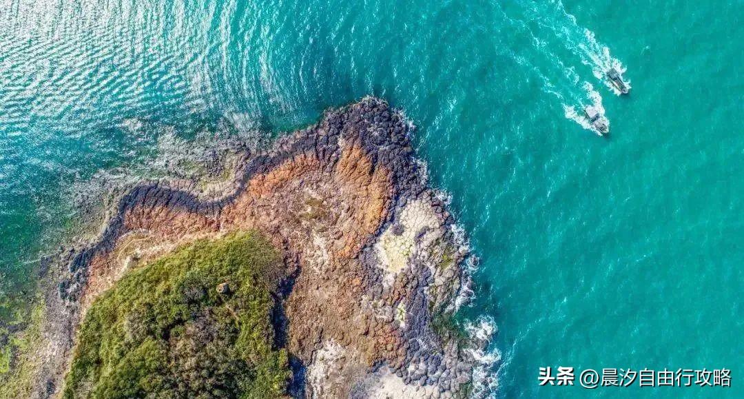 桥头富硒地瓜种植户