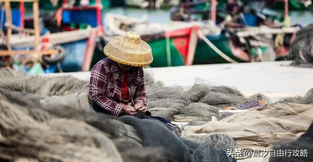 桥头富硒地瓜种植户