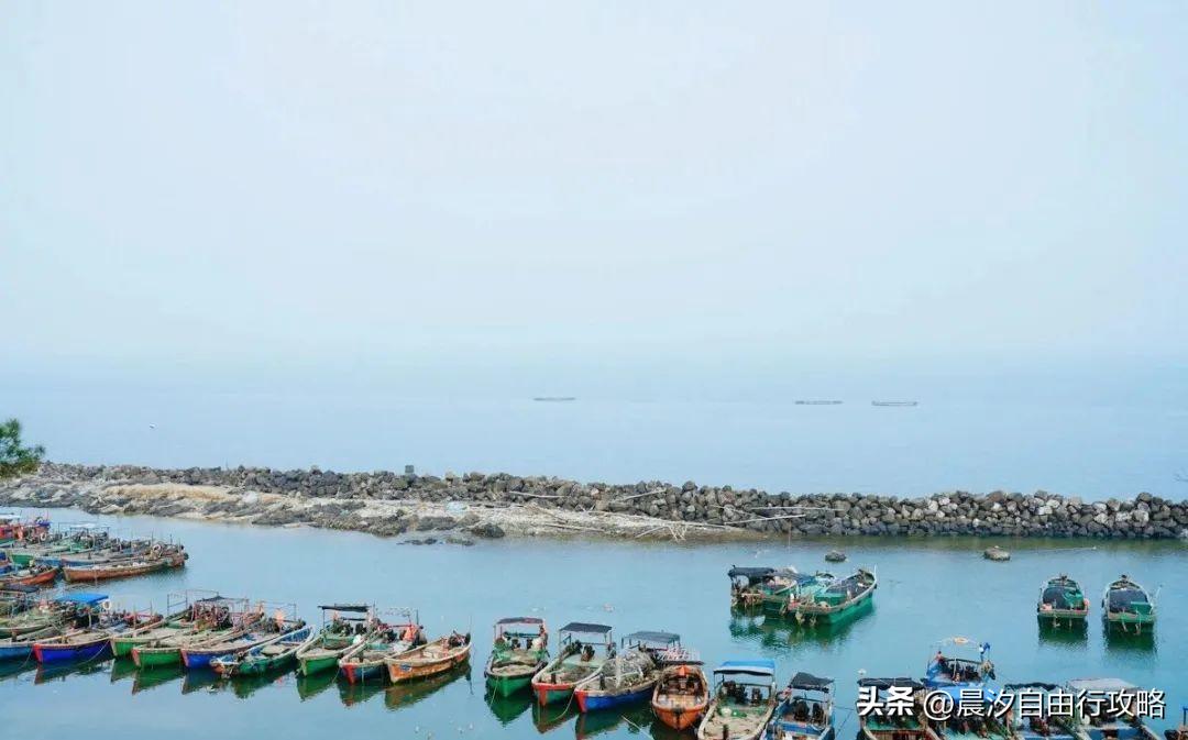 桥头富硒地瓜种植户