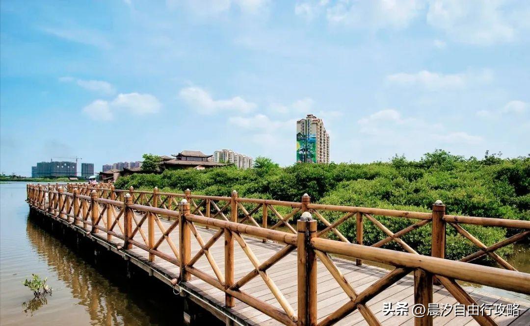 桥头富硒地瓜种植户