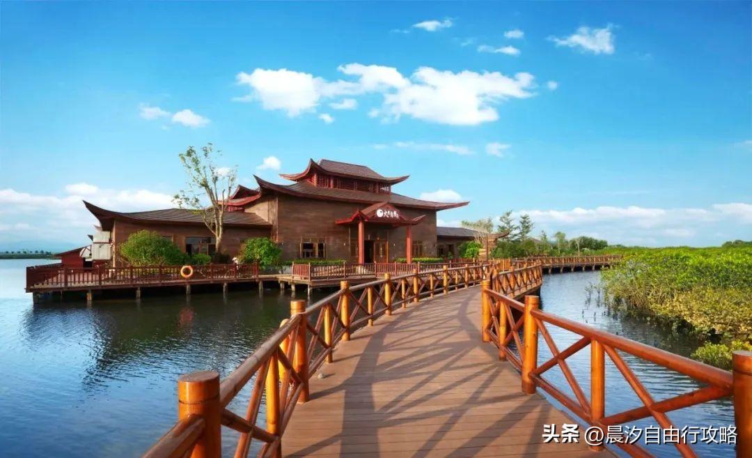 桥头富硒地瓜种植户