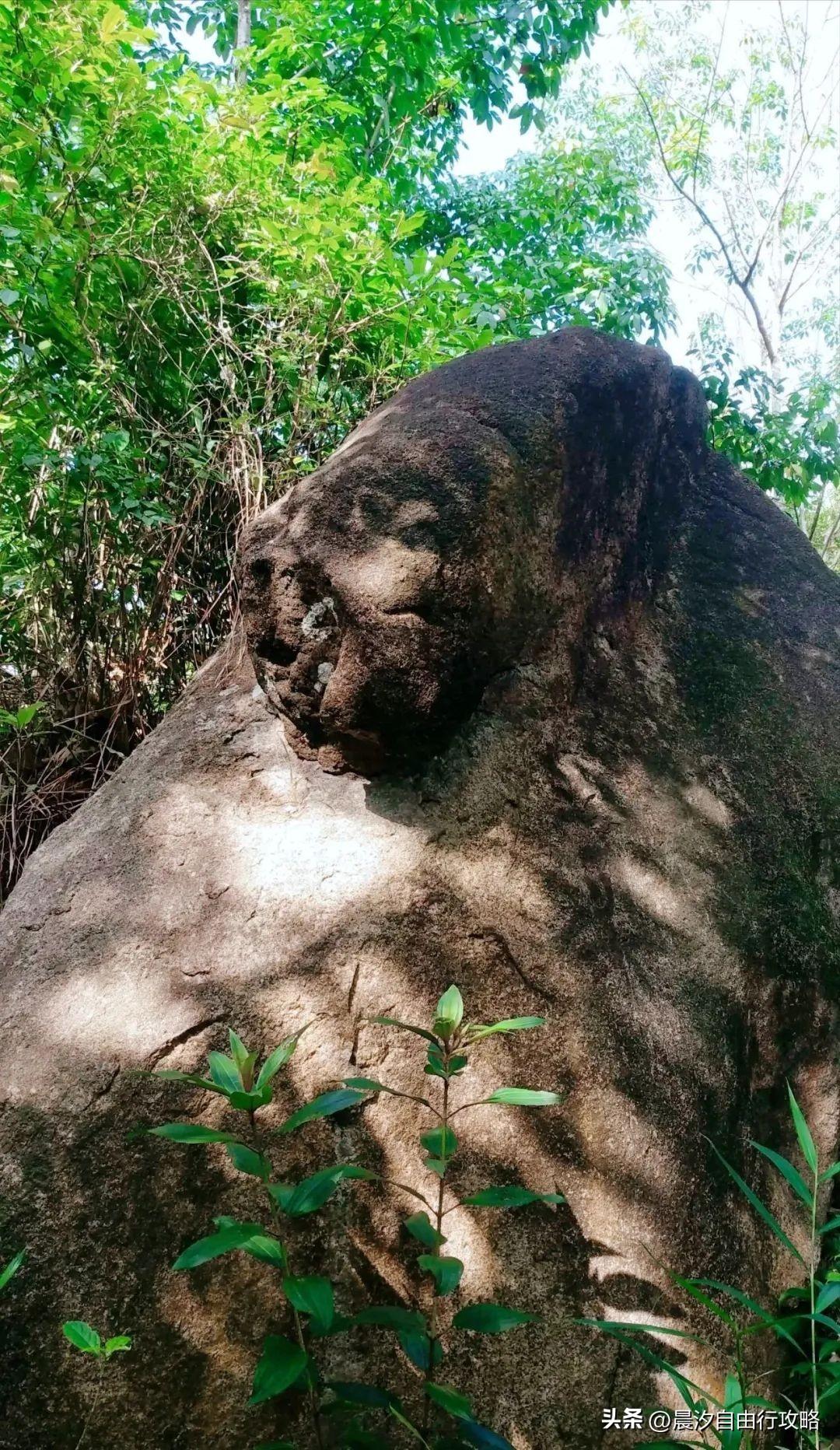 桥头富硒地瓜种植户