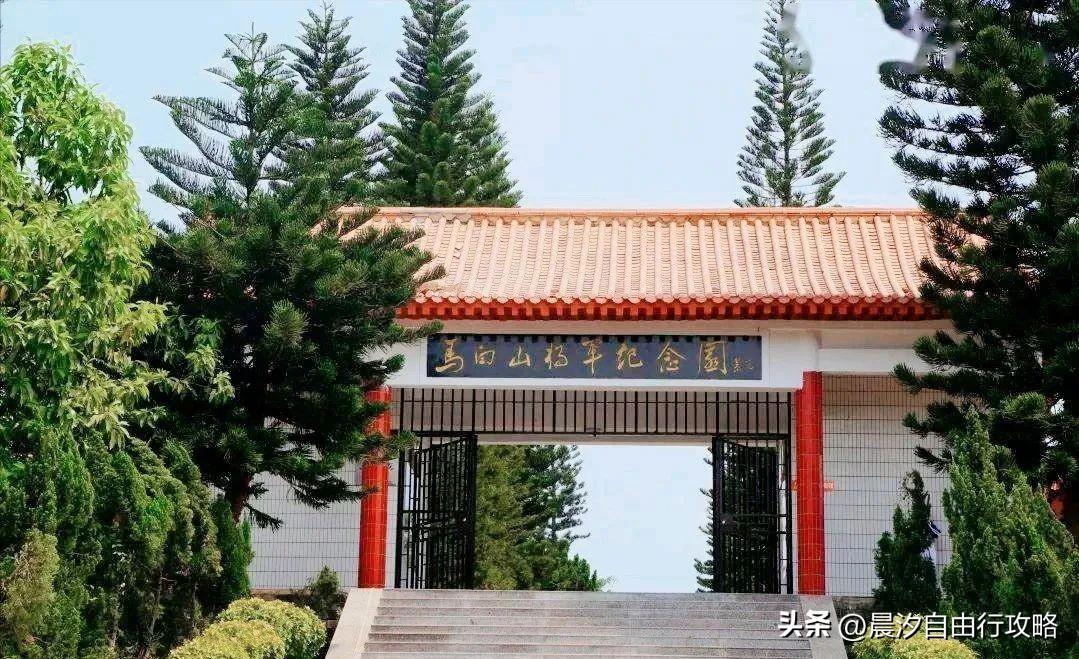 桥头富硒地瓜种植户