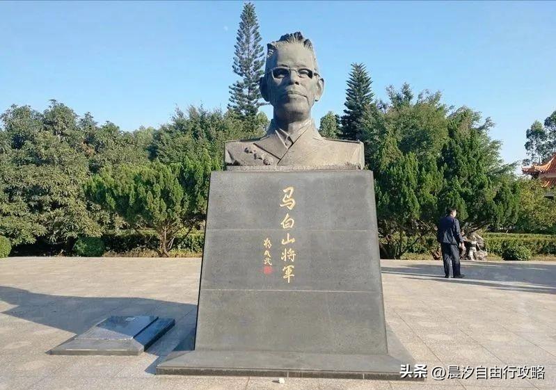 桥头富硒地瓜种植户