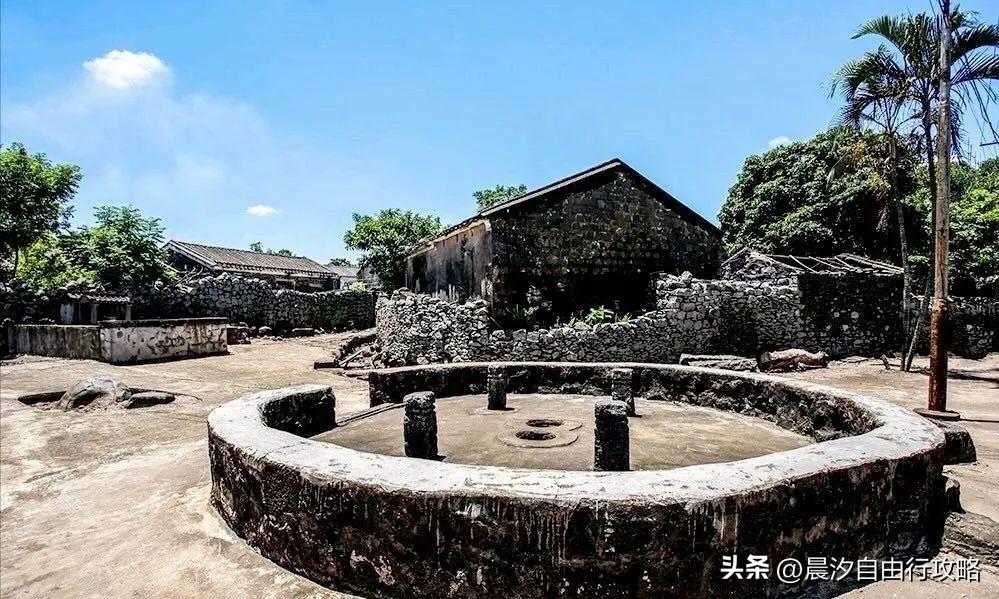 桥头富硒地瓜种植户