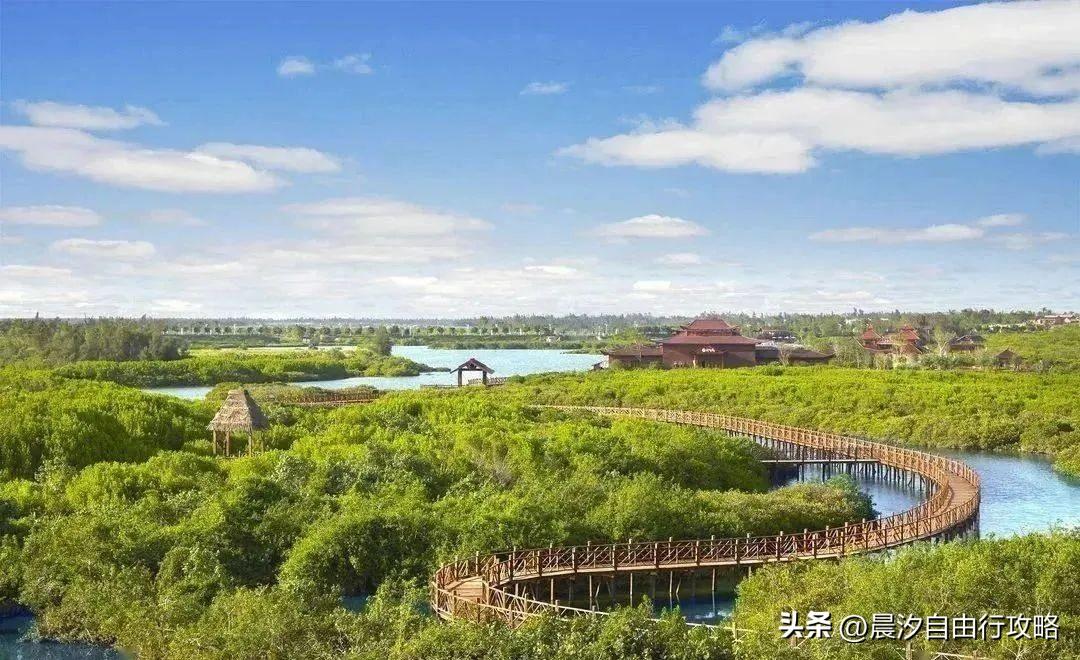 桥头富硒地瓜种植户