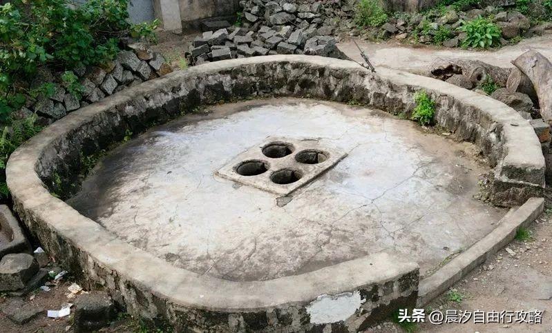 桥头富硒地瓜种植户