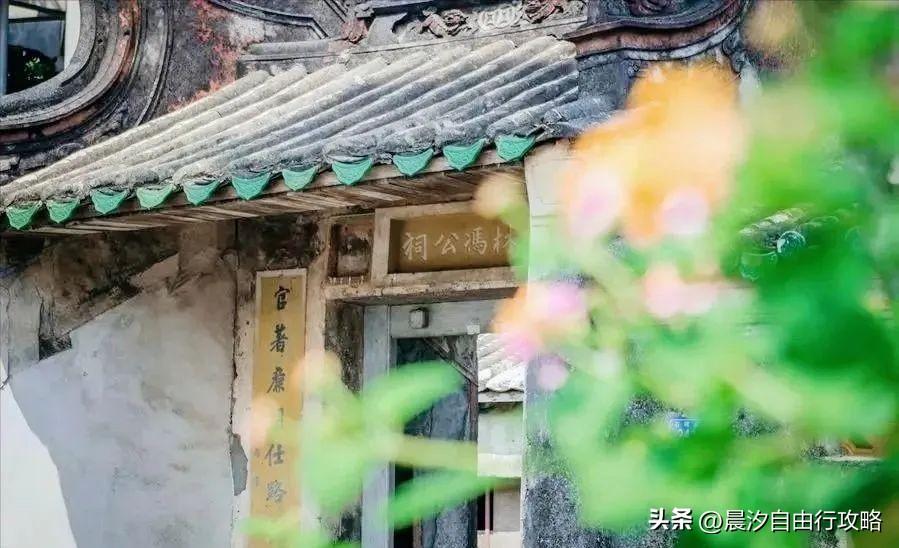 桥头富硒地瓜种植户