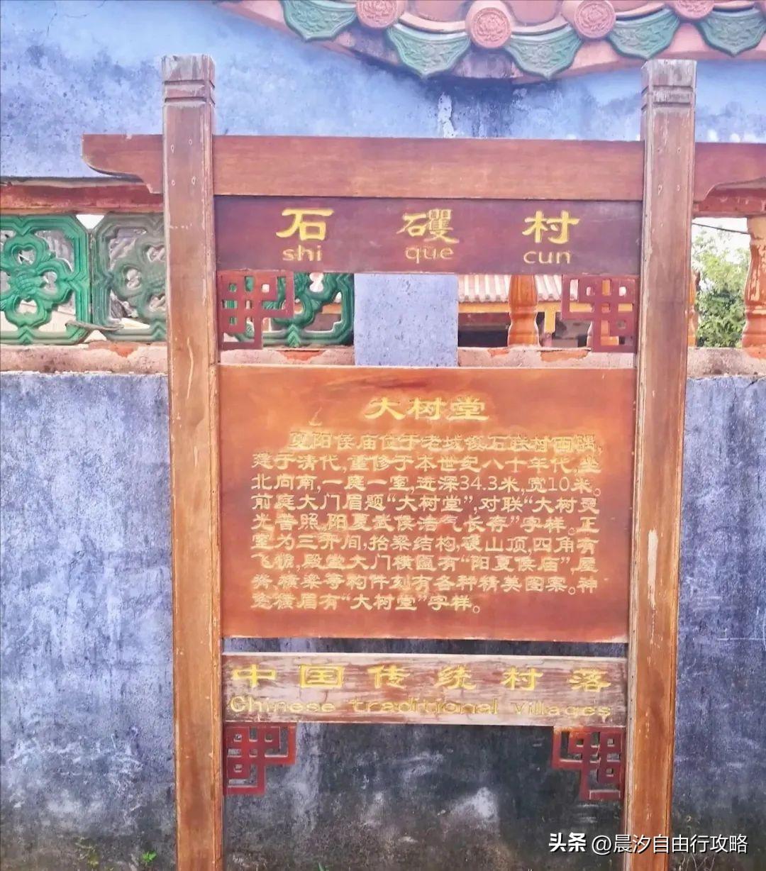 桥头富硒地瓜种植户