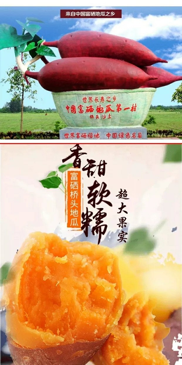 淄博哪里有富硒地瓜