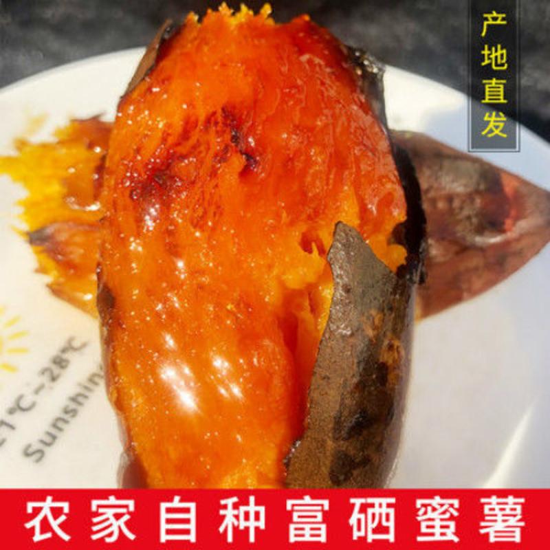 淄博哪里有富硒地瓜