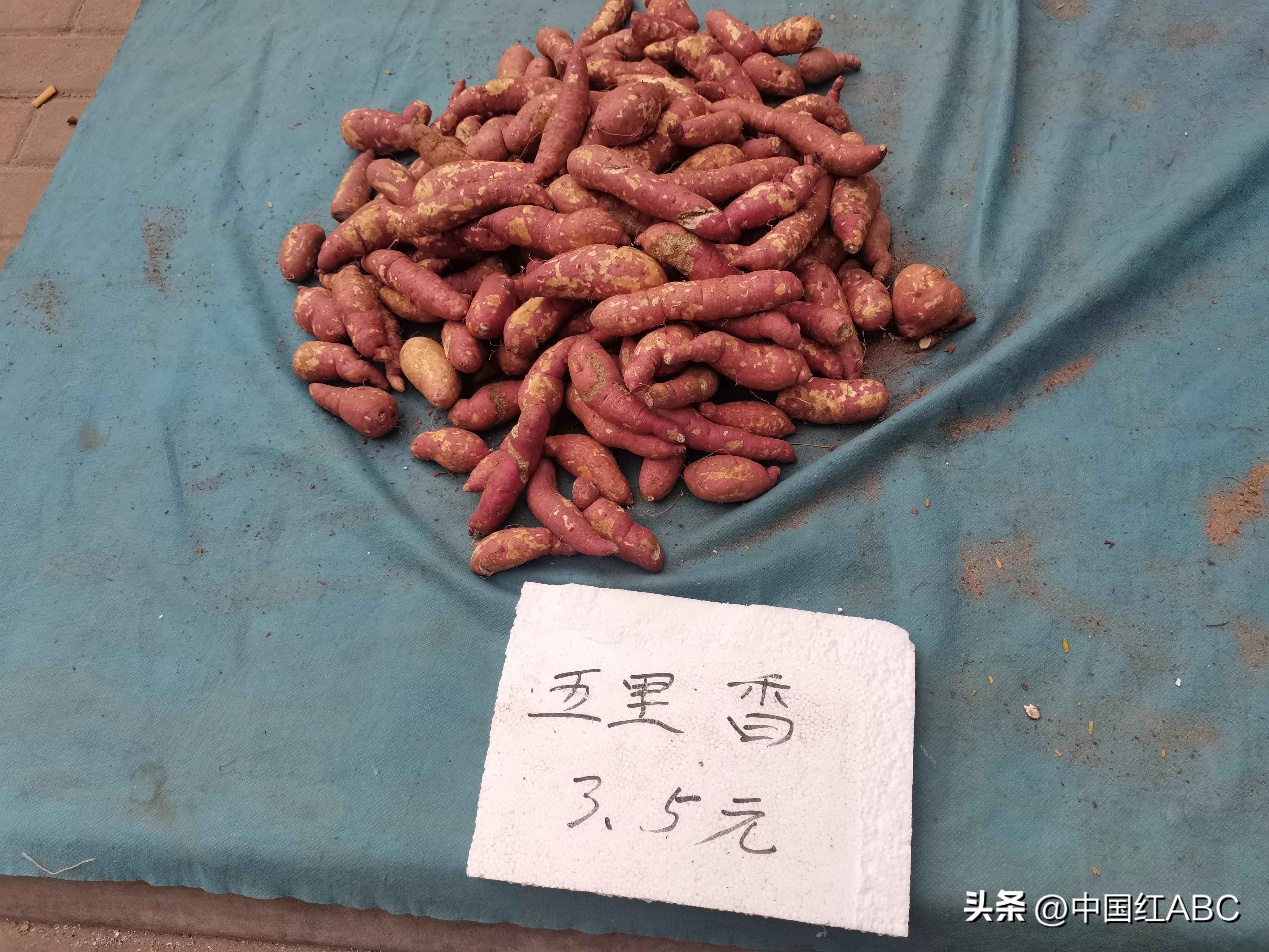 海南富硒地瓜好吃吗