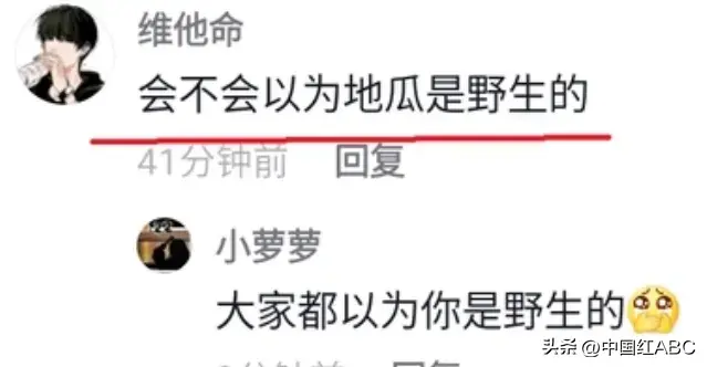 海南富硒地瓜好吃吗