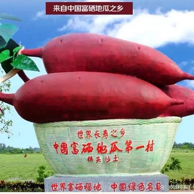 富硒和桥头地瓜推荐